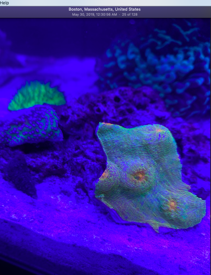 Screen Shot 2019-10-01 at 6.33.56 PM.png