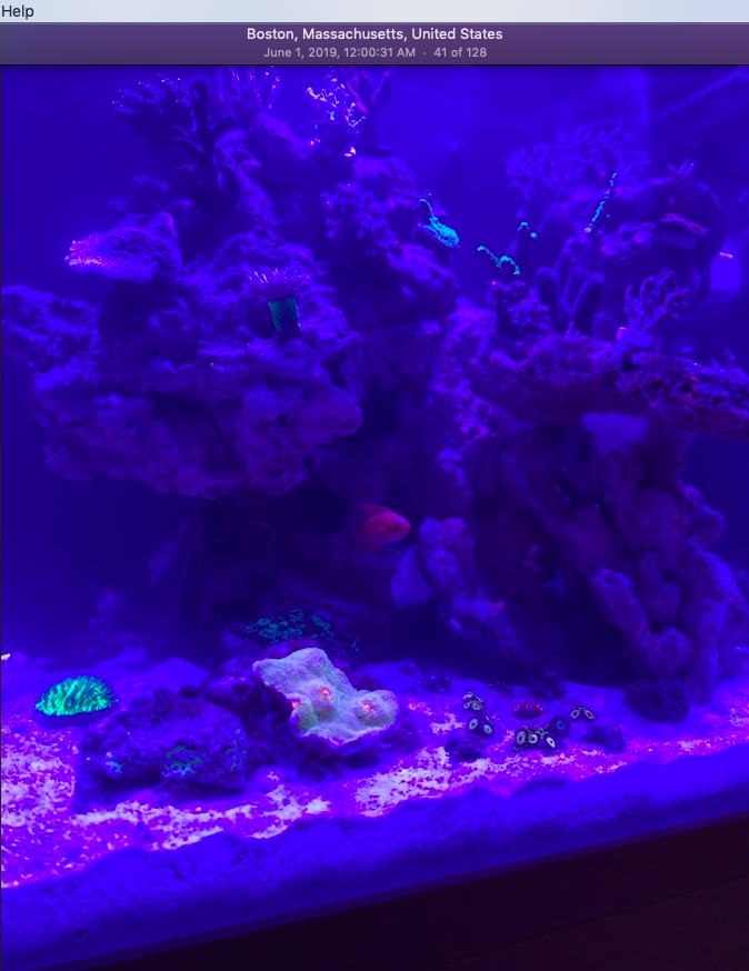 Screen Shot 2019-10-01 at 6.36.20 PM.png