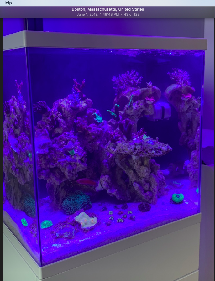 Screen Shot 2019-10-01 at 6.36.41 PM.png