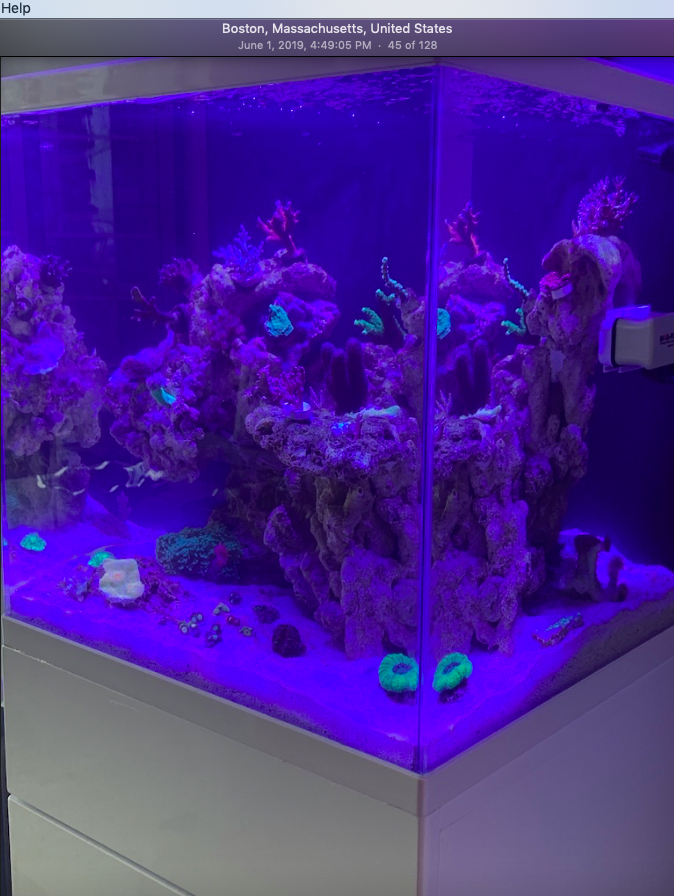 Screen Shot 2019-10-01 at 6.37.09 PM.png