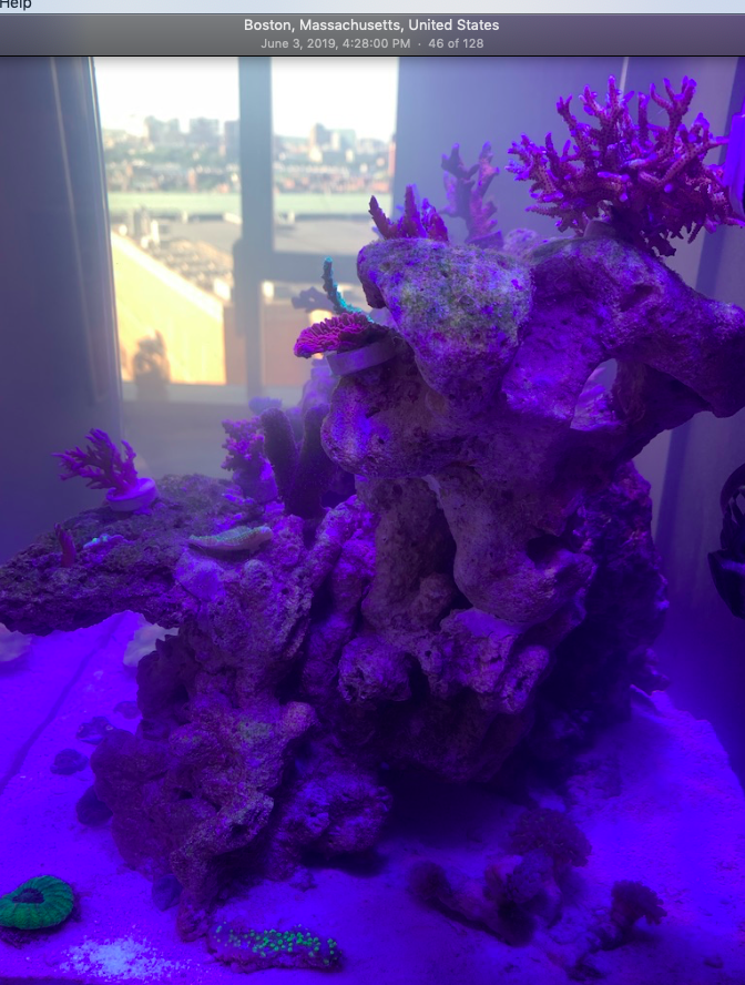 Screen Shot 2019-10-01 at 6.37.32 PM.png