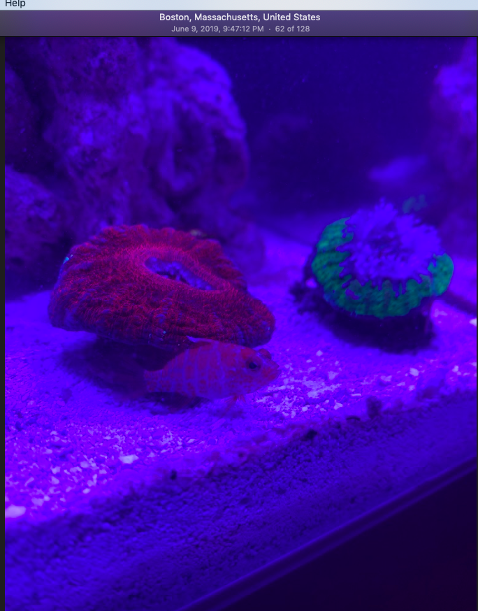 Screen Shot 2019-10-01 at 6.39.31 PM.png