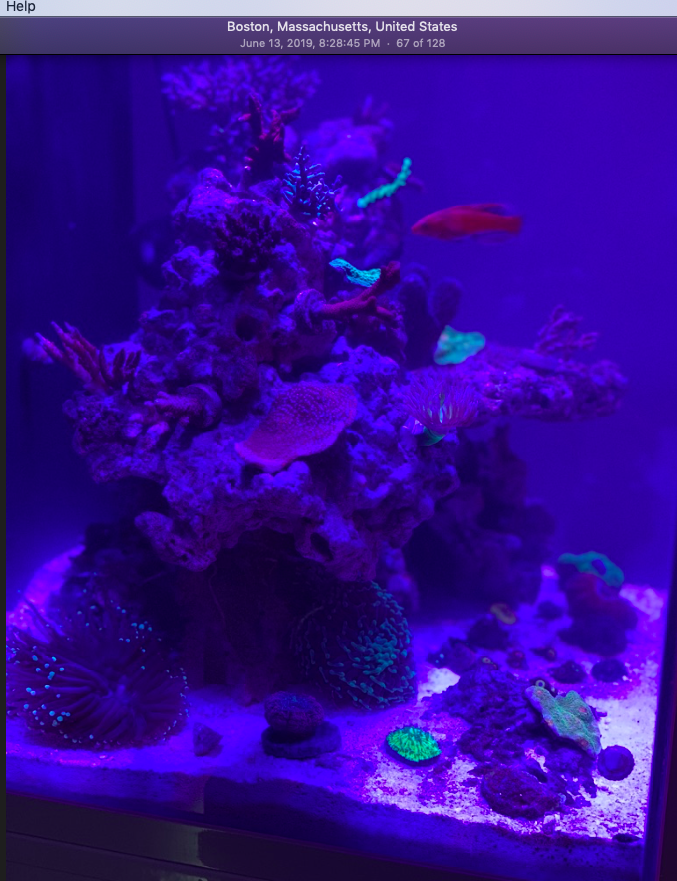 Screen Shot 2019-10-01 at 6.40.12 PM.png