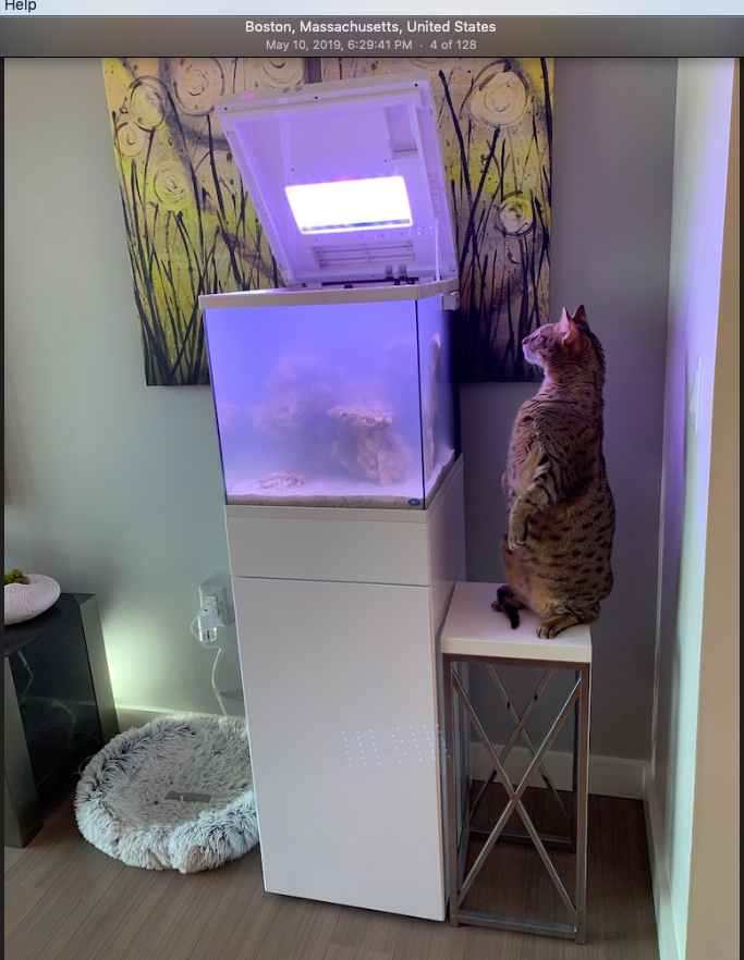 Screen Shot 2019-10-01 at 6.46.35 PM.png