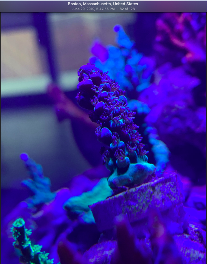 Screen Shot 2019-10-01 at 9.42.08 PM.png