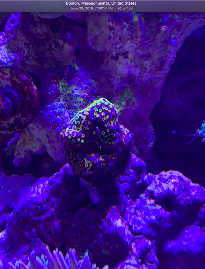 Screen Shot 2019-10-01 at 9.43.37 PM.png