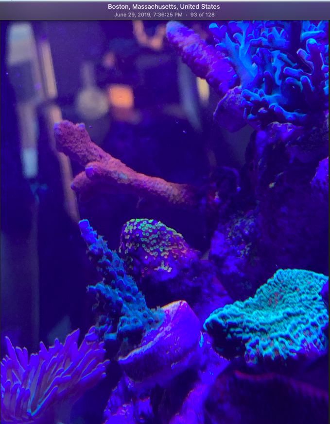 Screen Shot 2019-10-01 at 9.44.28 PM.png