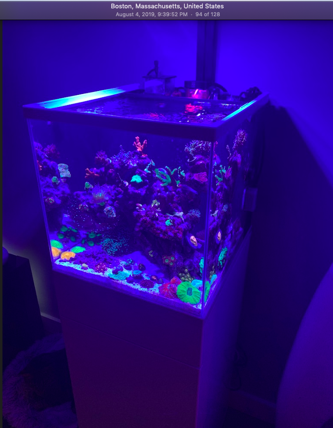 Screen Shot 2019-10-01 at 9.44.45 PM.png