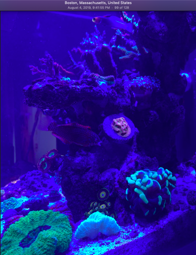 Screen Shot 2019-10-01 at 9.46.09 PM.png