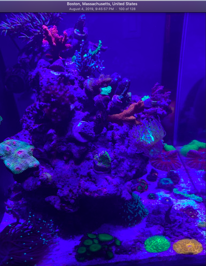 Screen Shot 2019-10-01 at 9.46.55 PM.png