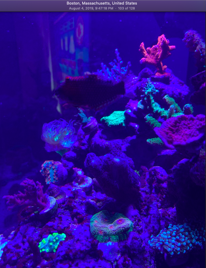 Screen Shot 2019-10-01 at 9.48.12 PM.png