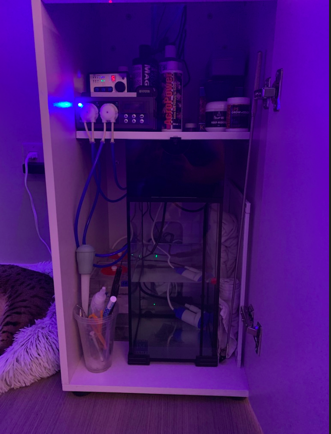 Screen Shot 2019-10-01 at 9.50.13 PM.png