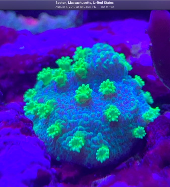 Screen Shot 2019-10-03 at 11.28.59 AM.png