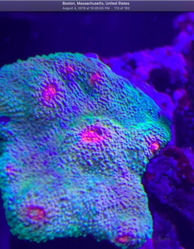 Screen Shot 2019-10-03 at 11.29.11 AM.png