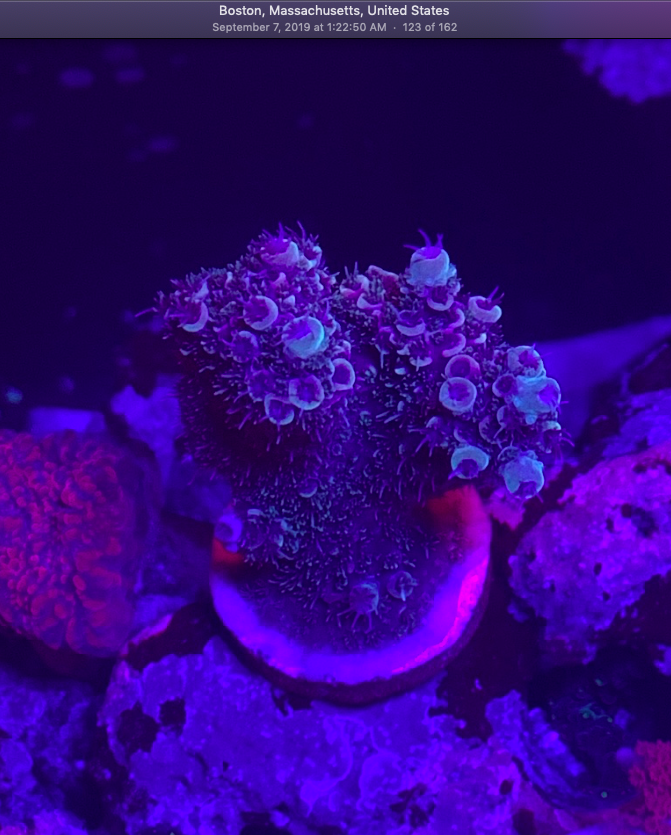 Screen Shot 2019-10-03 at 11.30.53 AM.png