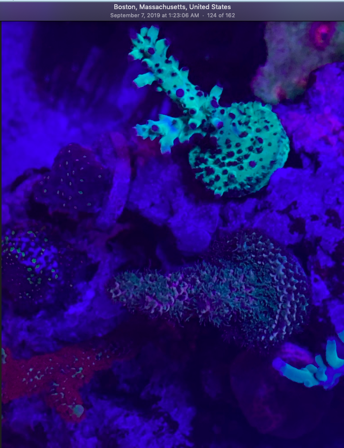 Screen Shot 2019-10-03 at 11.34.44 AM.png