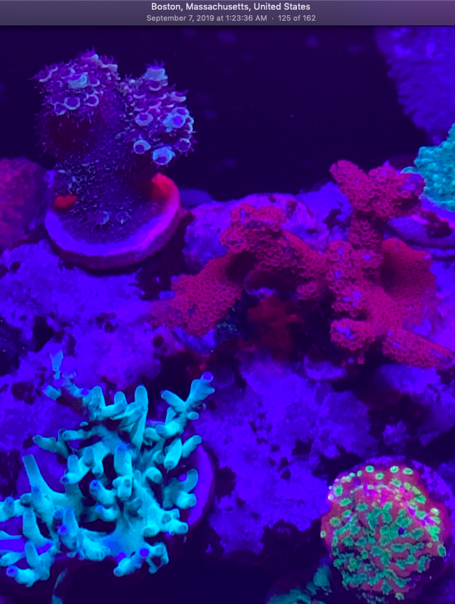 Screen Shot 2019-10-03 at 11.35.04 AM.png