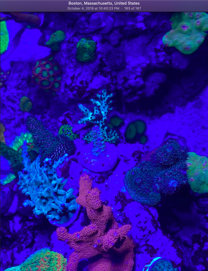 Screen Shot 2019-10-07 at 9.42.36 AM.png