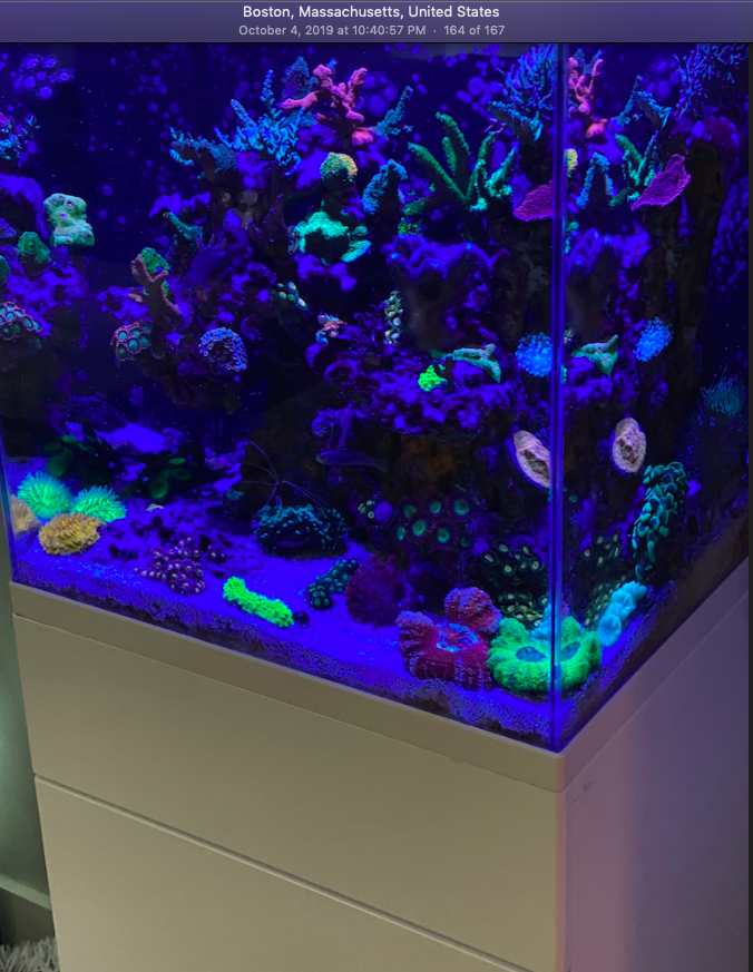 Screen Shot 2019-10-07 at 9.42.48 AM.png