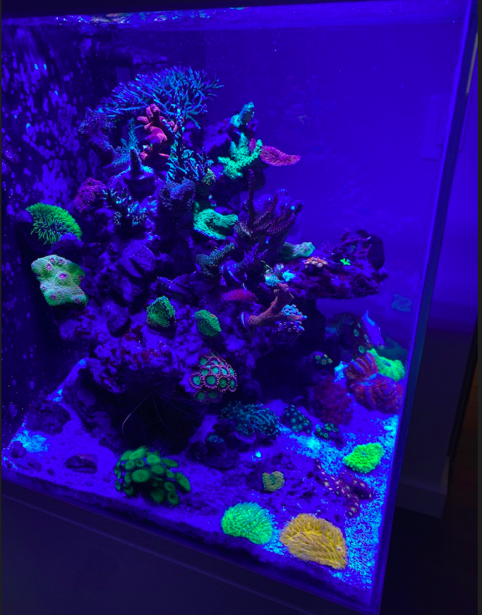 Screen Shot 2019-10-07 at 9.43.18 AM.png