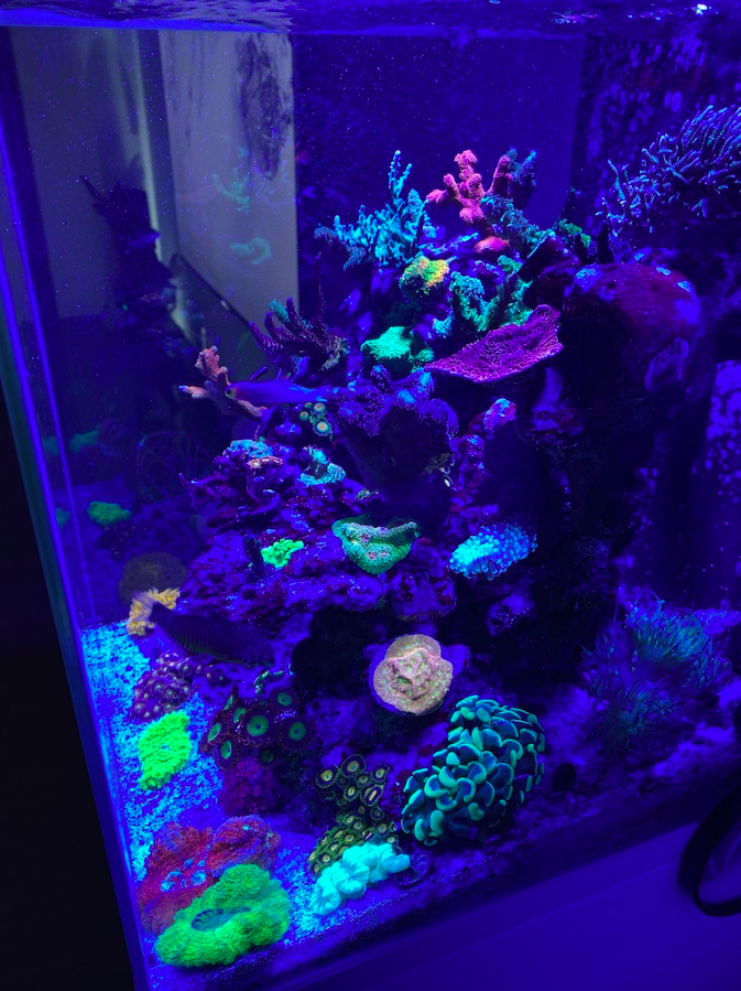 Screen Shot 2019-10-07 at 9.43.25 AM.png