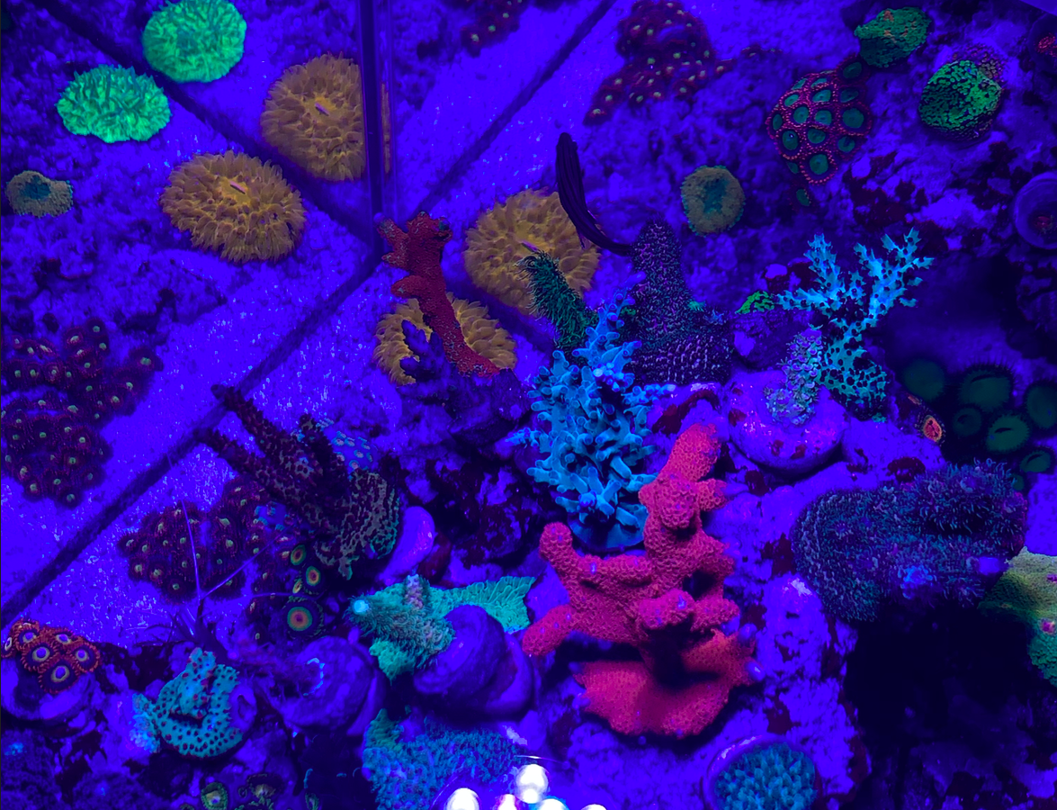 Screen Shot 2019-10-17 at 11.10.04 PM.png