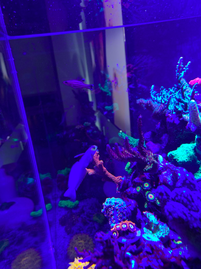 Screen Shot 2019-10-17 at 11.10.42 PM.png