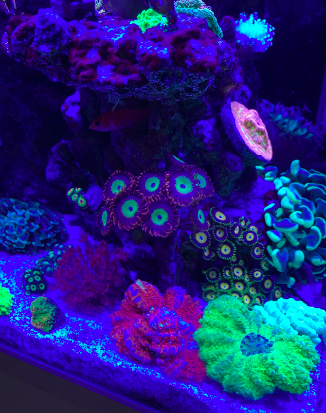 Screen Shot 2019-10-17 at 11.11.30 PM.png