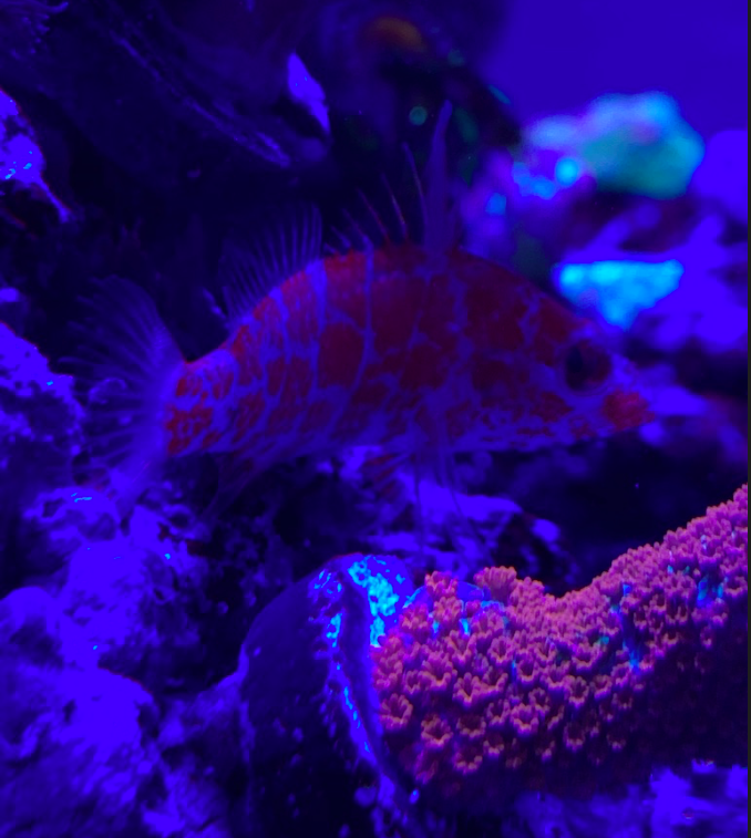 Screen Shot 2019-10-17 at 11.12.47 PM.png