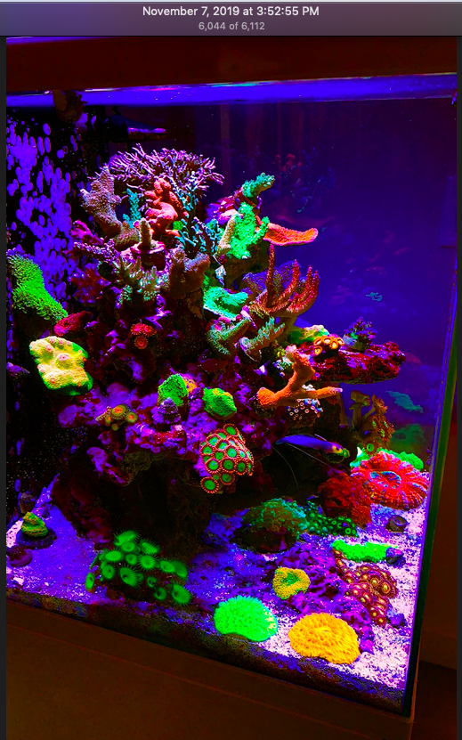 Screen Shot 2019-11-17 at 11.08.56 PM.png