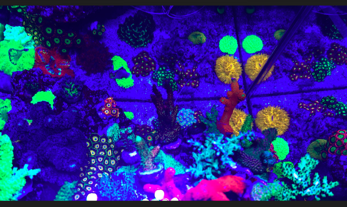 Screen Shot 2019-11-17 at 11.11.03 PM.png