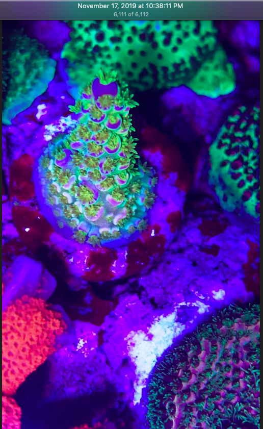 Screen Shot 2019-11-17 at 11.16.22 PM.png