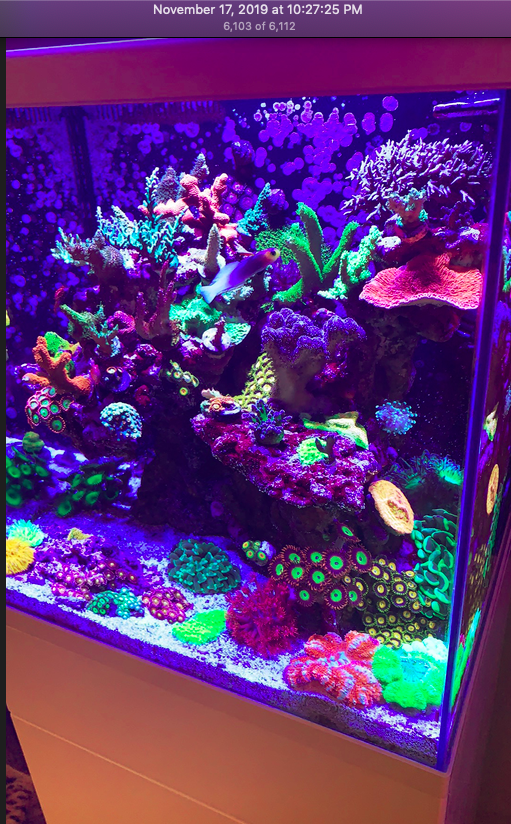 Screen Shot 2019-11-17 at 11.24.35 PM.png