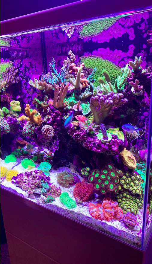 Screen Shot 2020-01-21 at 11.03.46 PM.png