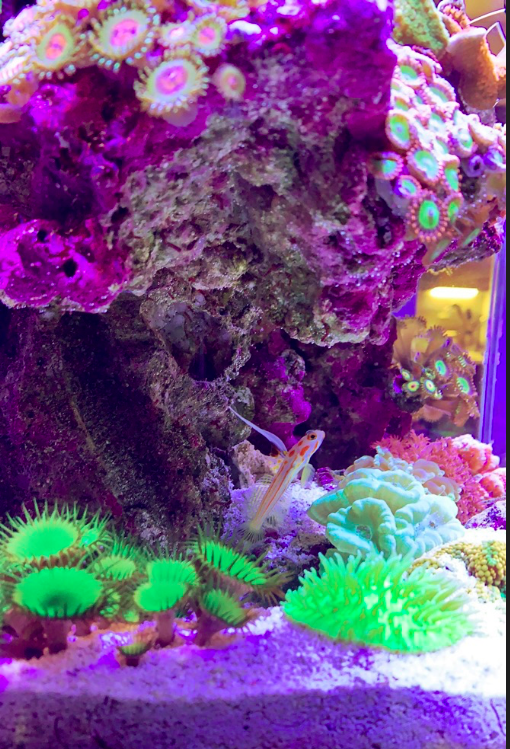 Screen Shot 2020-01-21 at 11.03.57 PM.png