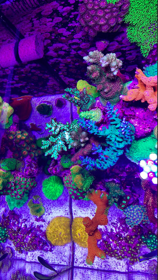 Screen Shot 2020-01-21 at 11.04.07 PM.png