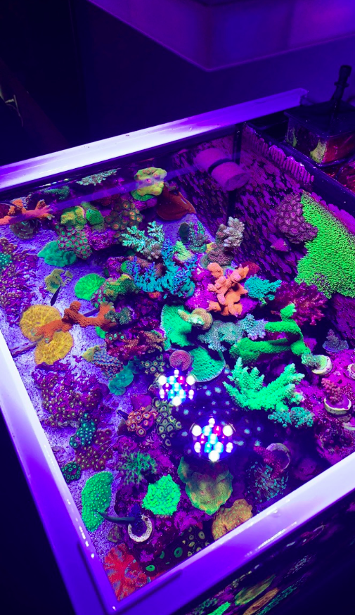 Screen Shot 2020-01-21 at 11.04.20 PM.png