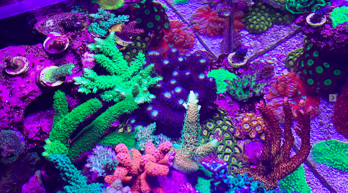 Screen Shot 2020-01-21 at 11.04.31 PM.png