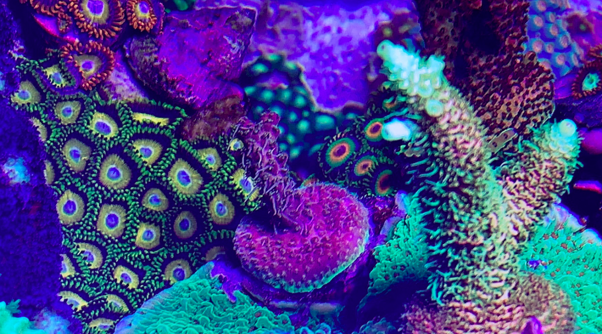 Screen Shot 2020-01-21 at 11.05.10 PM.png