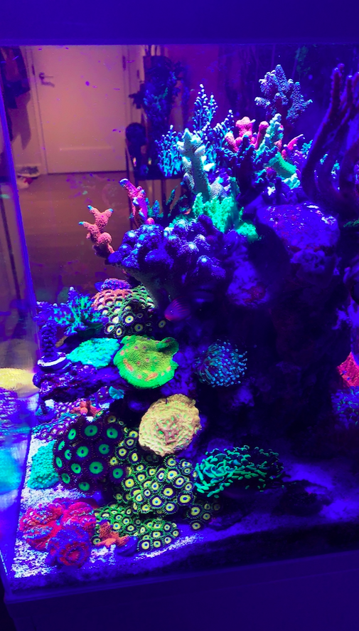 Screen Shot 2020-04-13 at 10.30.53 PM.png