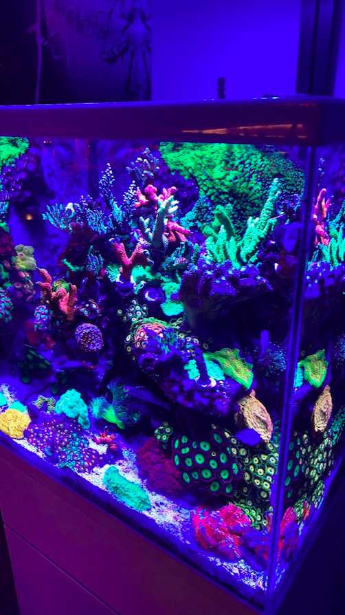 Screen Shot 2020-04-13 at 10.31.00 PM.png