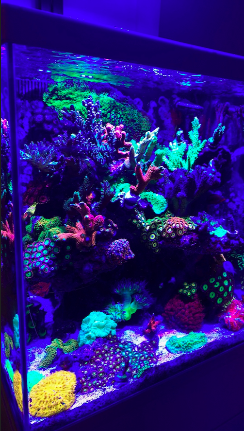 Screen Shot 2020-04-13 at 10.31.09 PM.png