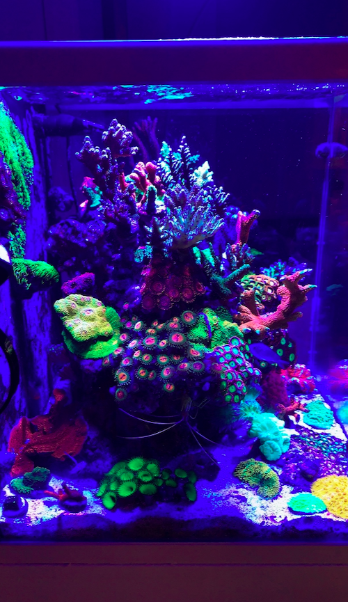 Screen Shot 2020-04-13 at 10.31.17 PM.png