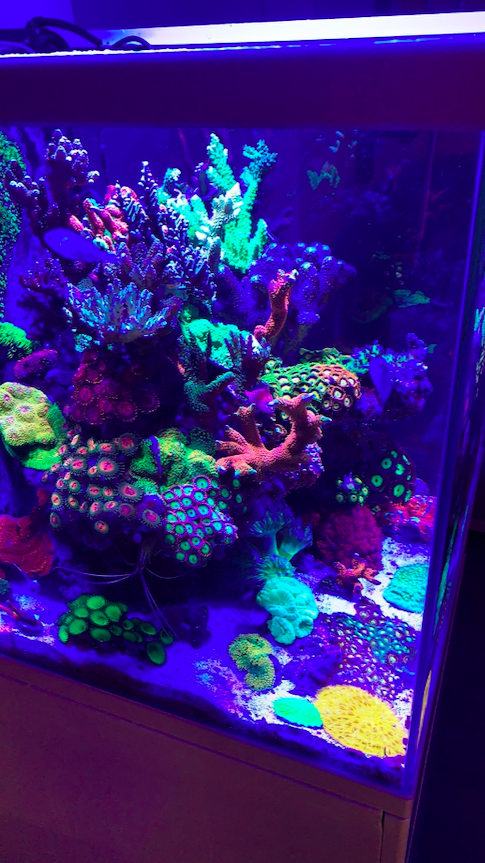 Screen Shot 2020-04-13 at 10.31.30 PM.png