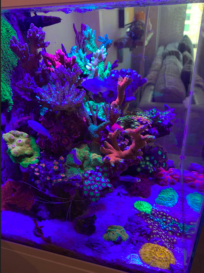 Screen Shot 2020-04-13 at 10.32.10 PM.png