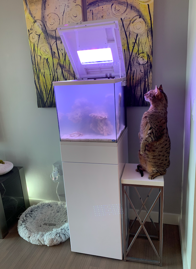 Screen Shot 2020-05-22 at 9.29.43 PM.png