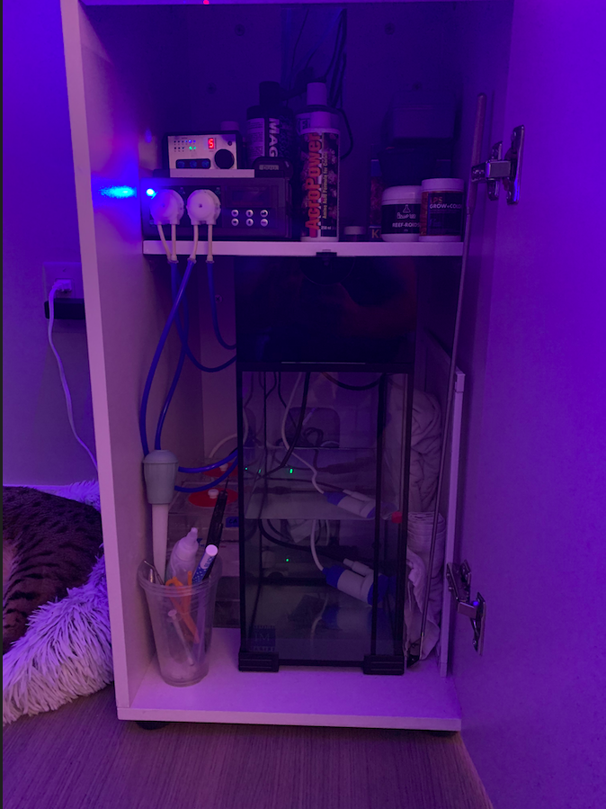 Screen Shot 2020-05-22 at 9.30.30 PM.png