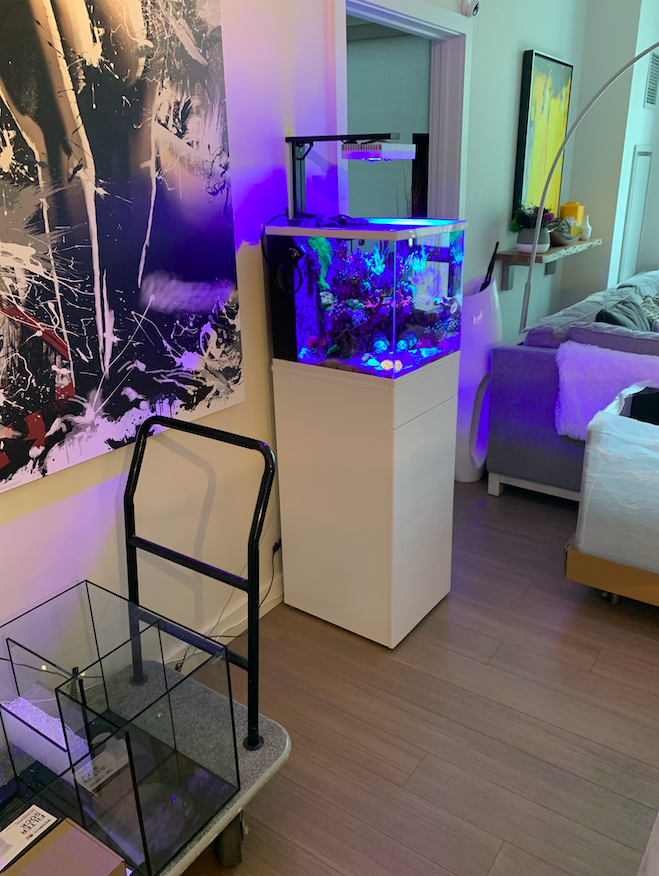 Screen Shot 2020-05-22 at 9.44.12 PM.png