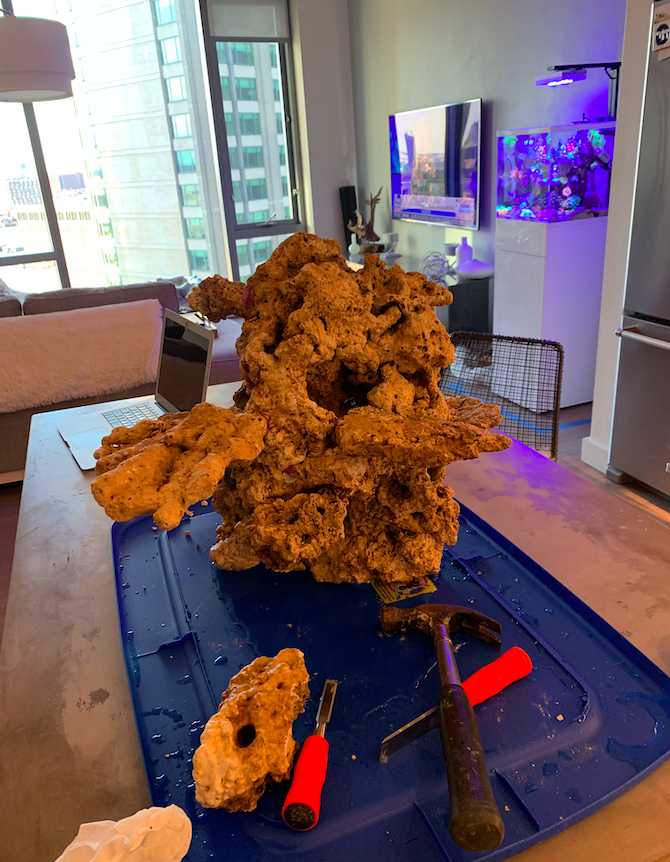 Screen Shot 2020-06-01 at 12.40.44 PM.png