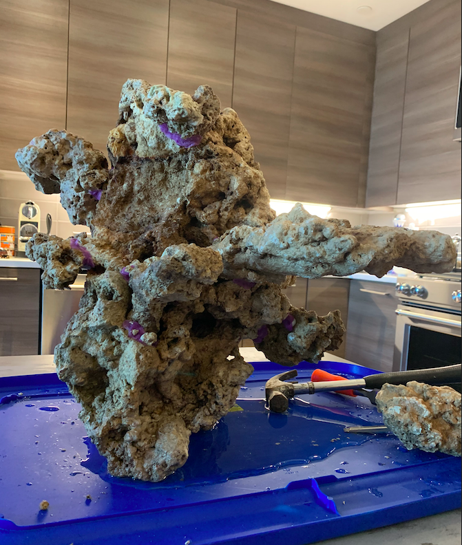 Screen Shot 2020-06-01 at 12.41.12 PM.png